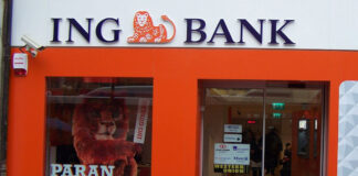 ING Bank Müşteri Hizmetleri Numarası