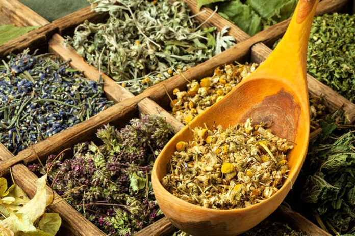 Dis-agrisina-iyi-gelen-bitkiler