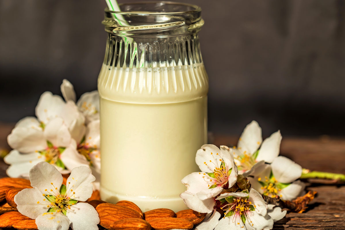 diyette sut yerine peynir mi tuketmelisiniz 1