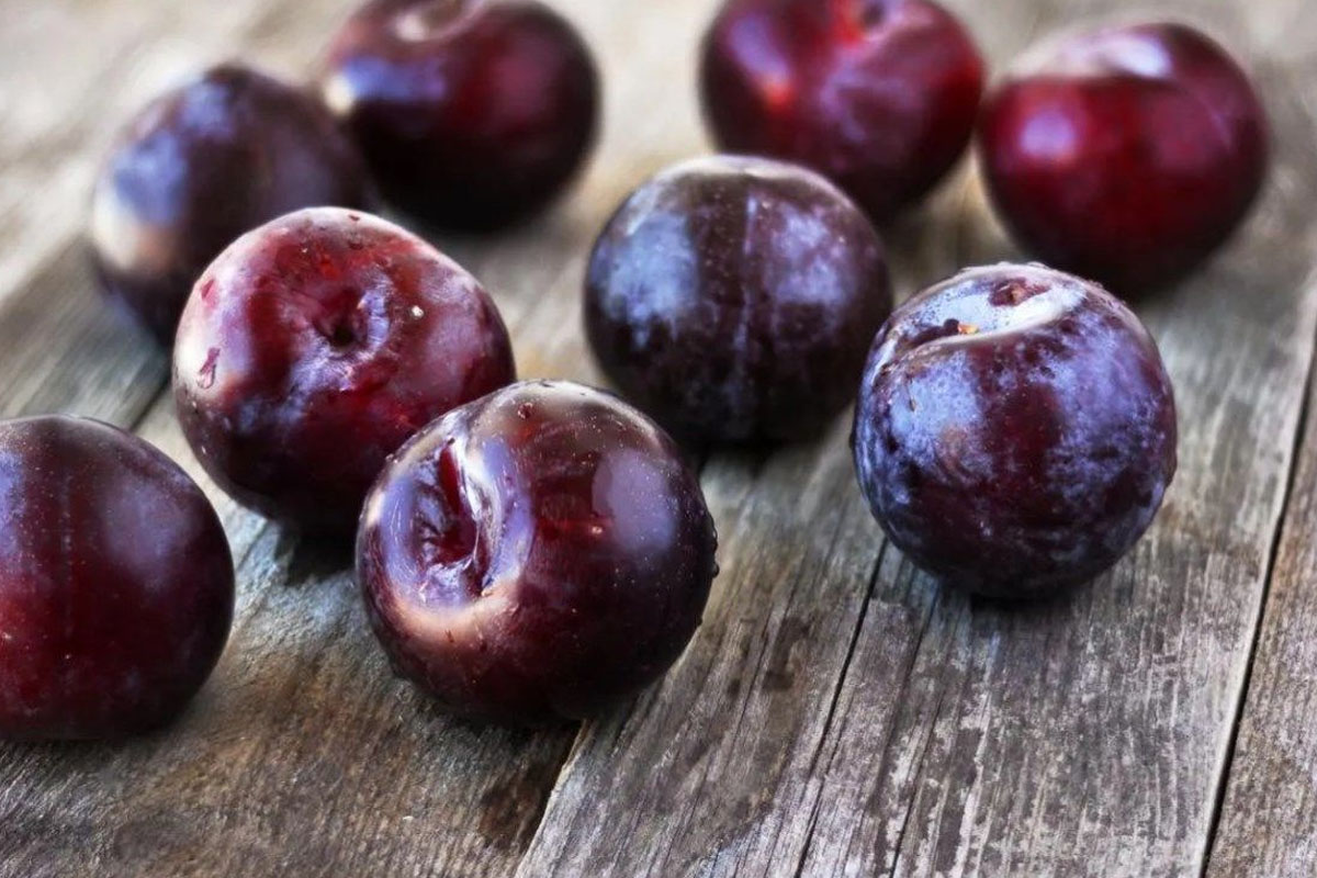 erigin faydalari nelerdir 1