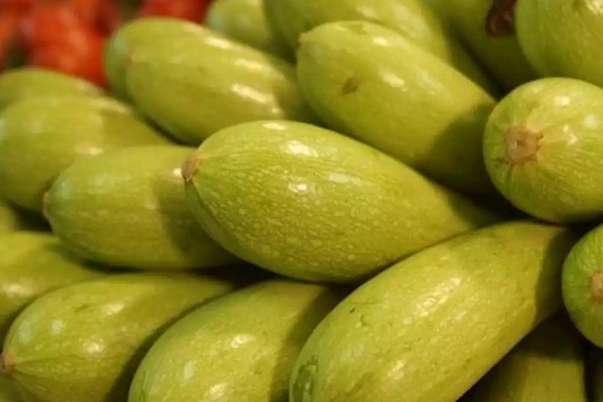 kabagin faydalari nelerdir 1