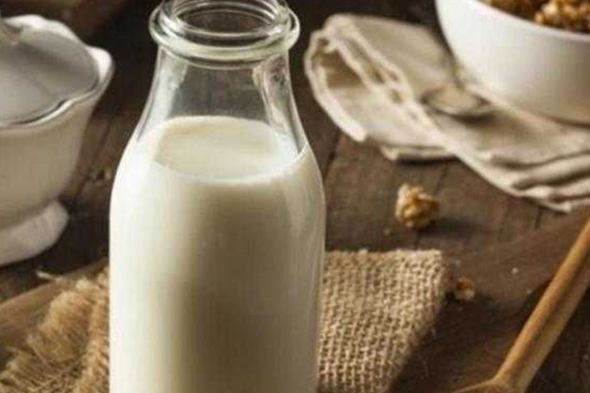 keci sutunun faydalari nelerdir 1