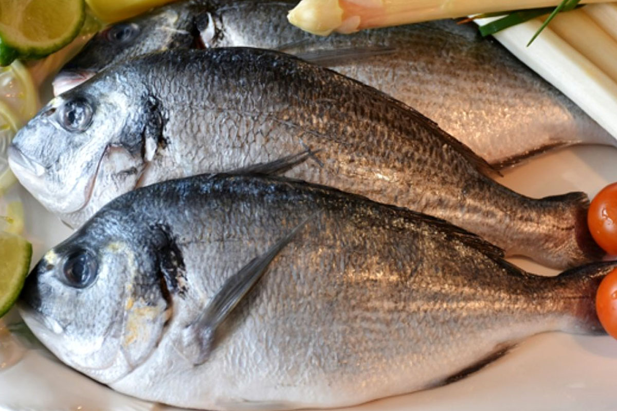 Omega3’ün Faydaları Nelerdir? omega3un faydalari nelerdir