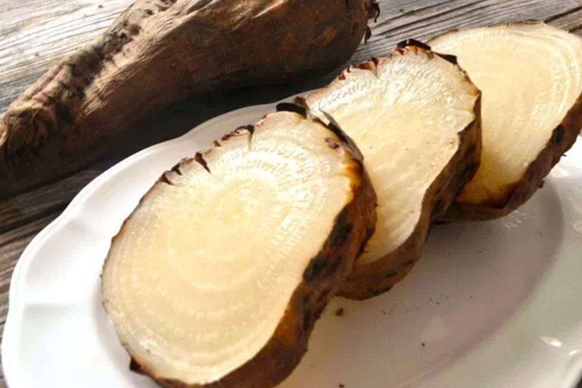 seker pancarinin faydalari nelerdir 1