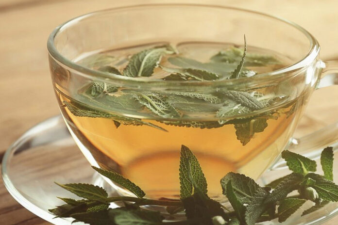 Adacayinin-faydalari-nelerdir