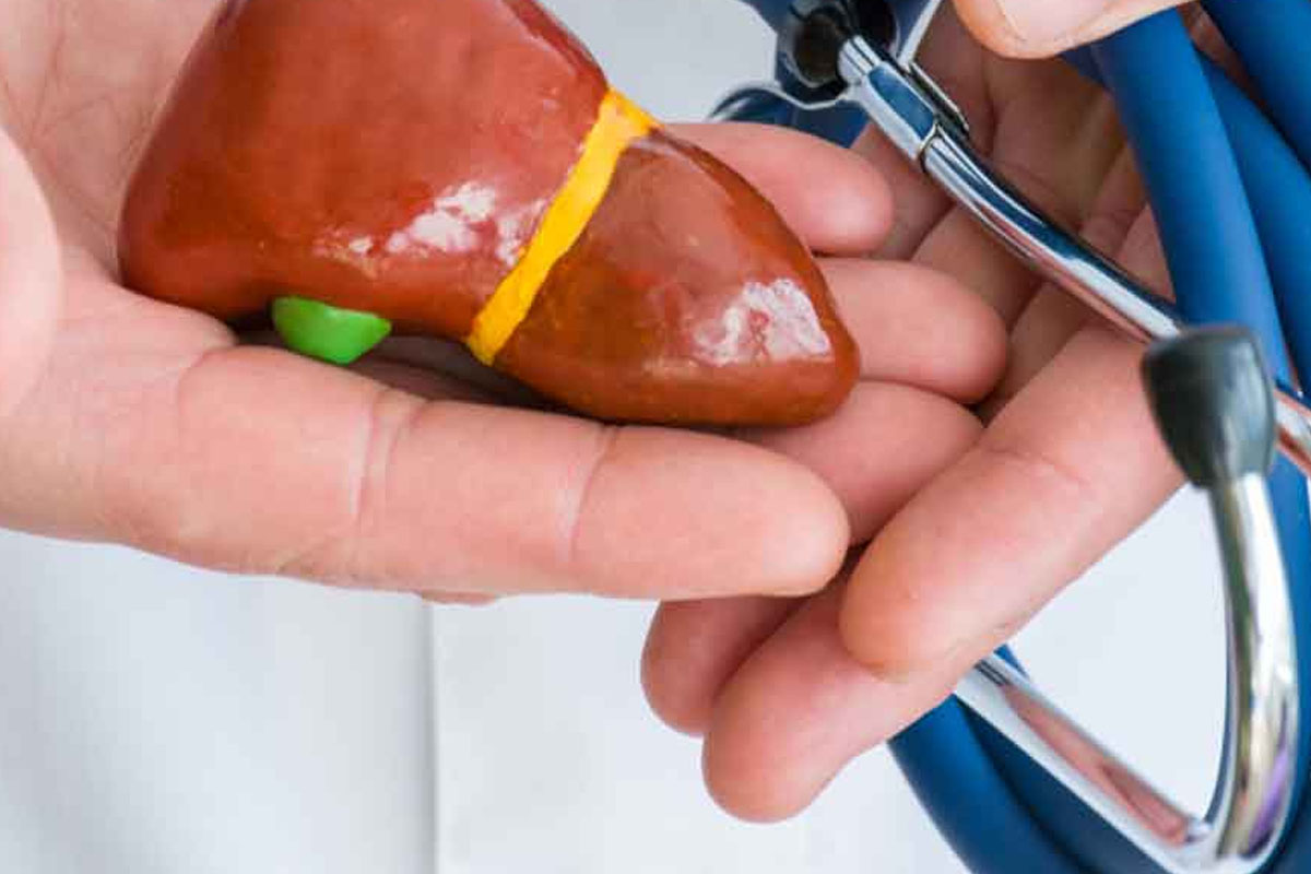 Karaciger Ne ise Yarar Karacigerin Gorevleri2