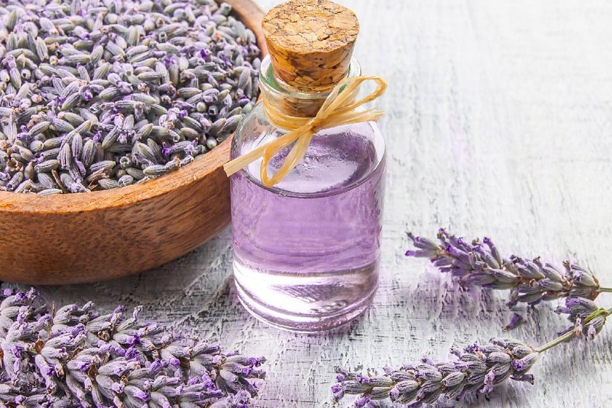 Lavanta Nelere Iyi Gelir 1