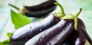 Patlıcan Nelere Faydalıdır?