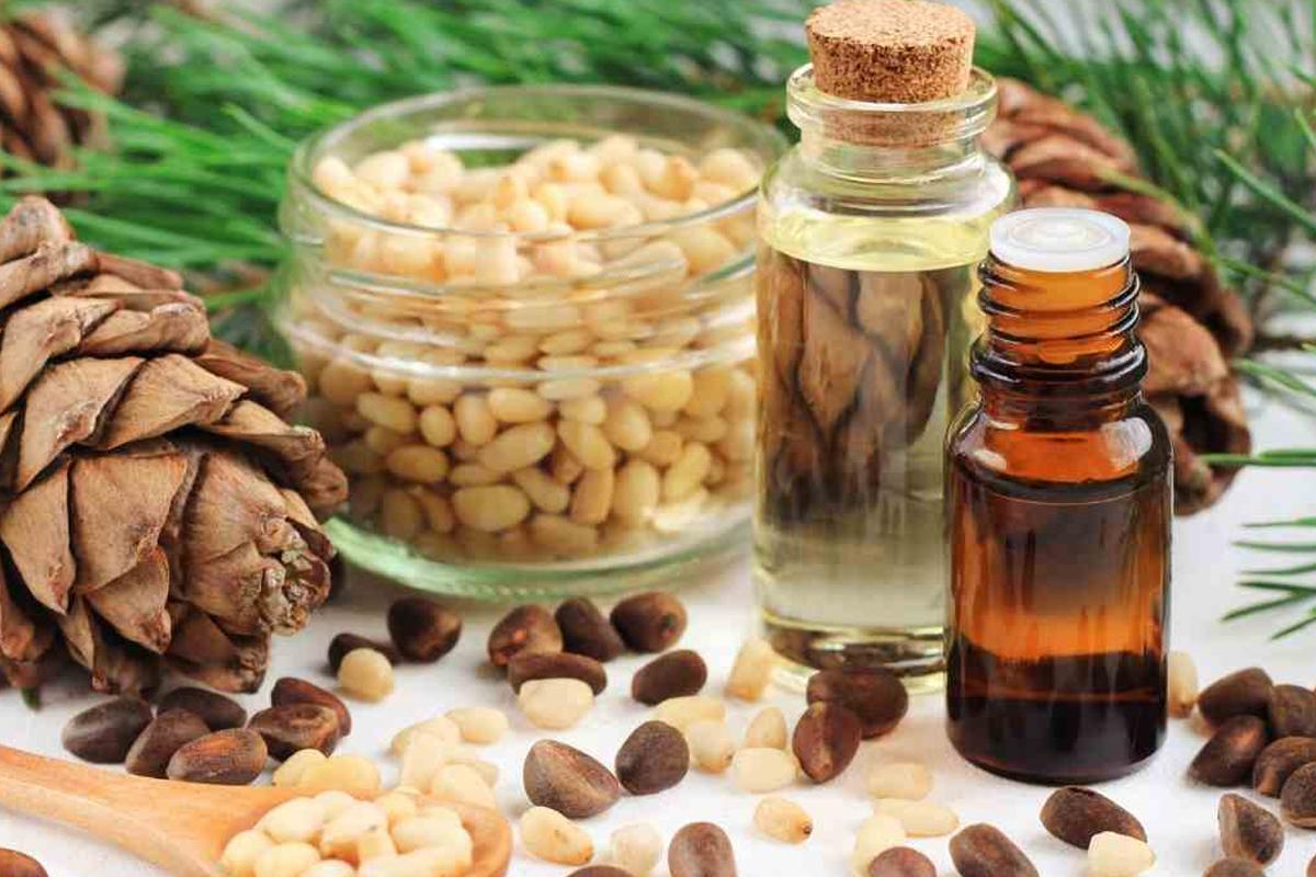 Sedir Ağacı Yağının Faydaları! Sedir Agaci Yaginin Faydalari 1