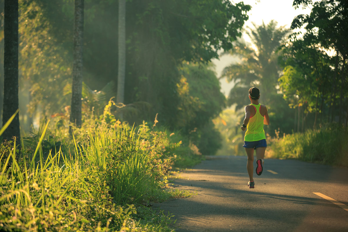 kosarak formda kalin 1