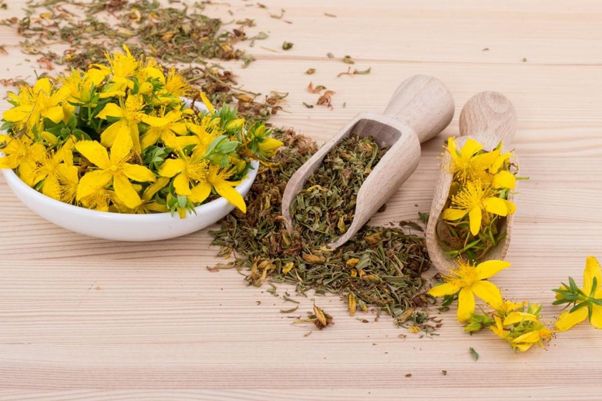 Dis Agrisina Iyi Gelen Bitkiler 1