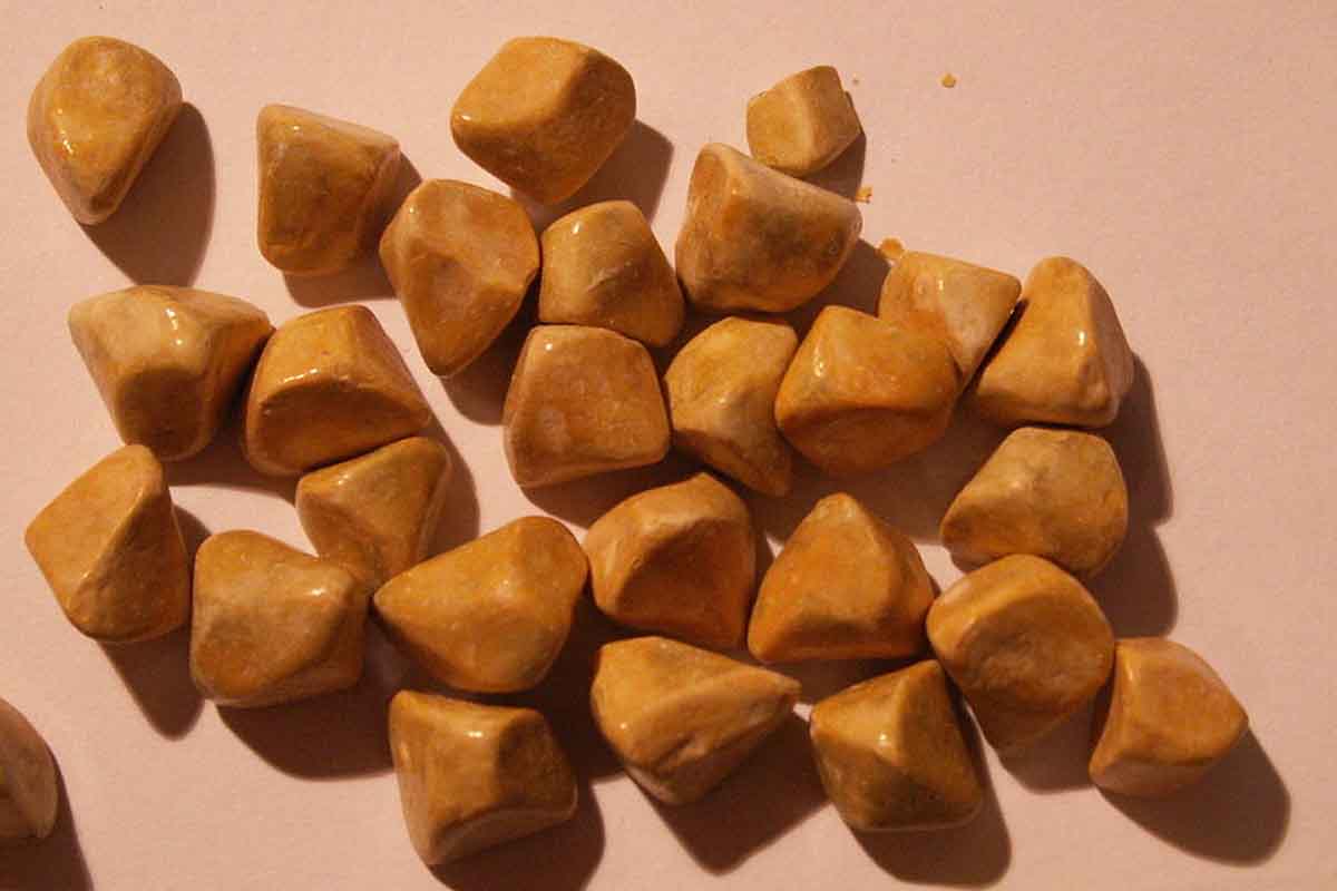 Safra Tasi Belirtileri 1