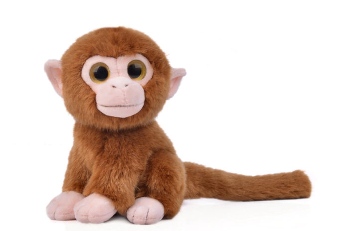 Cd-ile-maymun-yapimi