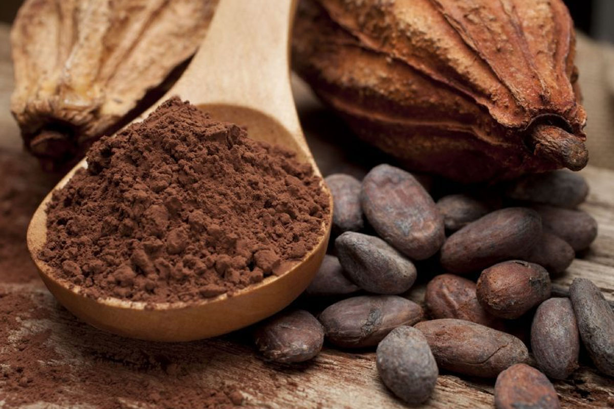 Kakao yaginin faydalari nelerdir1