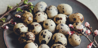 Protein Diyeti ile Yağlara Son Verin