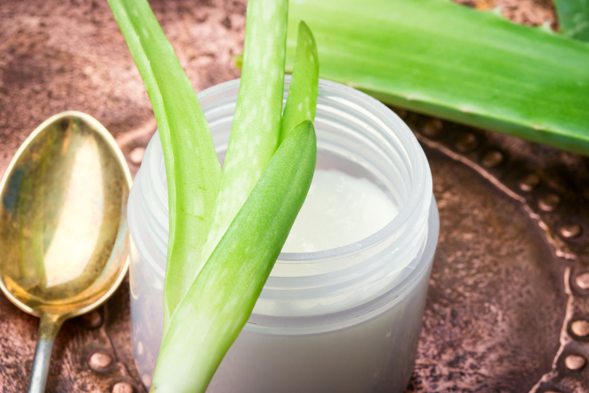 Sifali bitkiler hakkinda