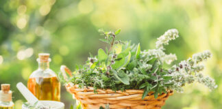 Şifalı Bitkiler Hakkında