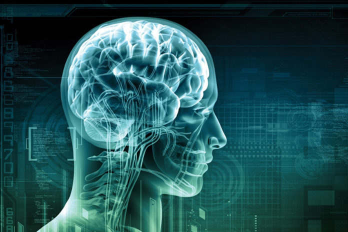 beyin-gucu-nasil-kullanilir