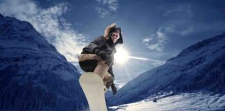 Palandöken Kayak ve Kızak Kiralama Fiyatları