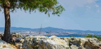 Kuşadasında Gidilecek Yerler ve Yapılabilecek Etkinlikler