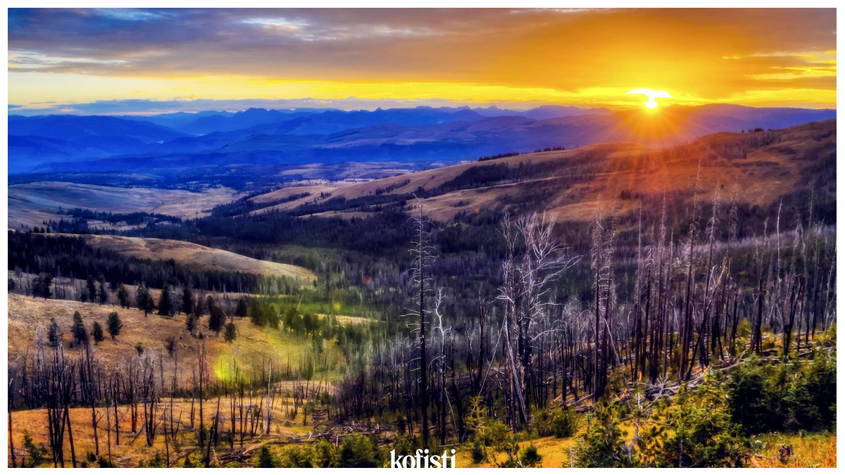 Yellowstone Ulusal Parkı Gezi Rehberi