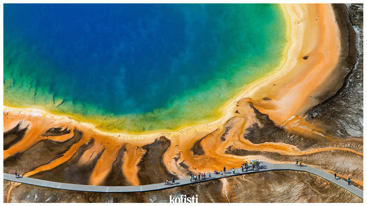 Yellowstone’nun Bitki Örtüsü ve Hayvanları